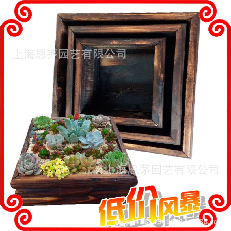 上海防腐木多肉植物盆栽花盆花器碳化木花盆花槽微景观实木制花箱价格 中国供应商