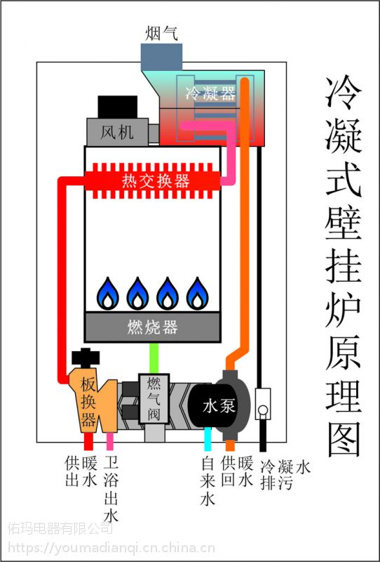 燃氣採暖熱水爐壁掛爐模塊爐