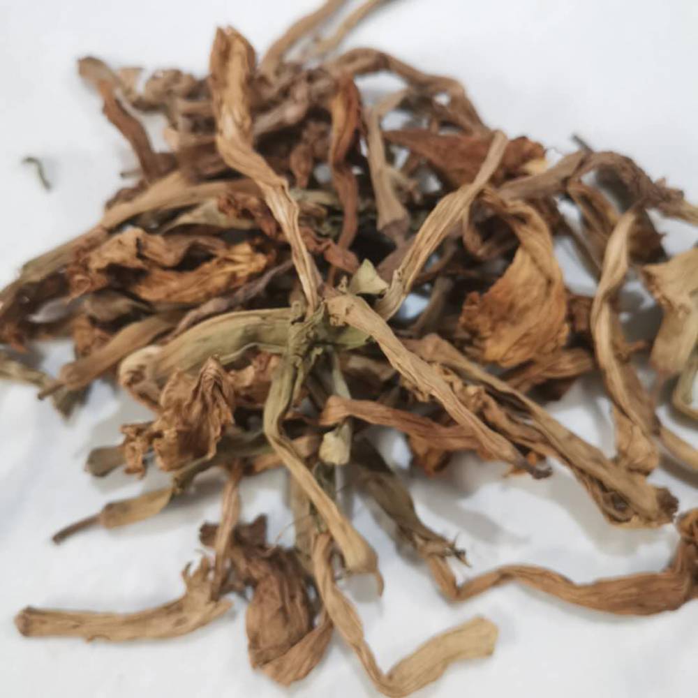 曼陀罗花多少钱一斤图片