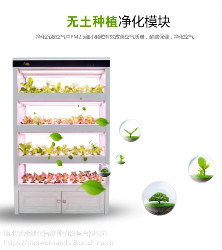 学校科研器材全智能生态菜养柜无土栽培设备智能蔬菜种植设备