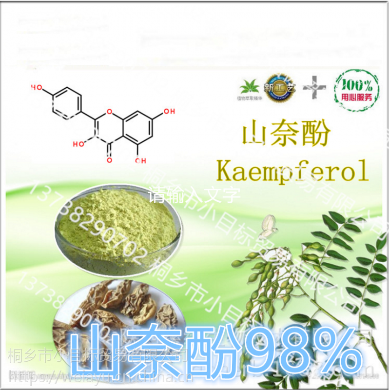天然高含量山奈酚98山奈黄酮醇山奈素全国包邮50克
