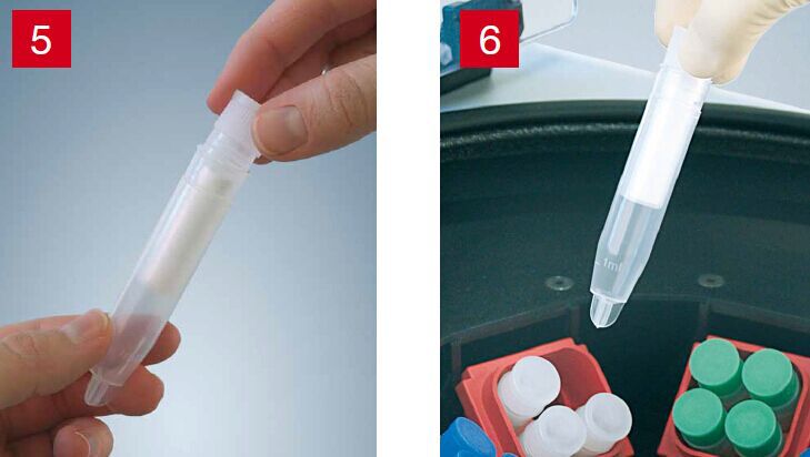 德国sarstedt唾液dna收集管采集管