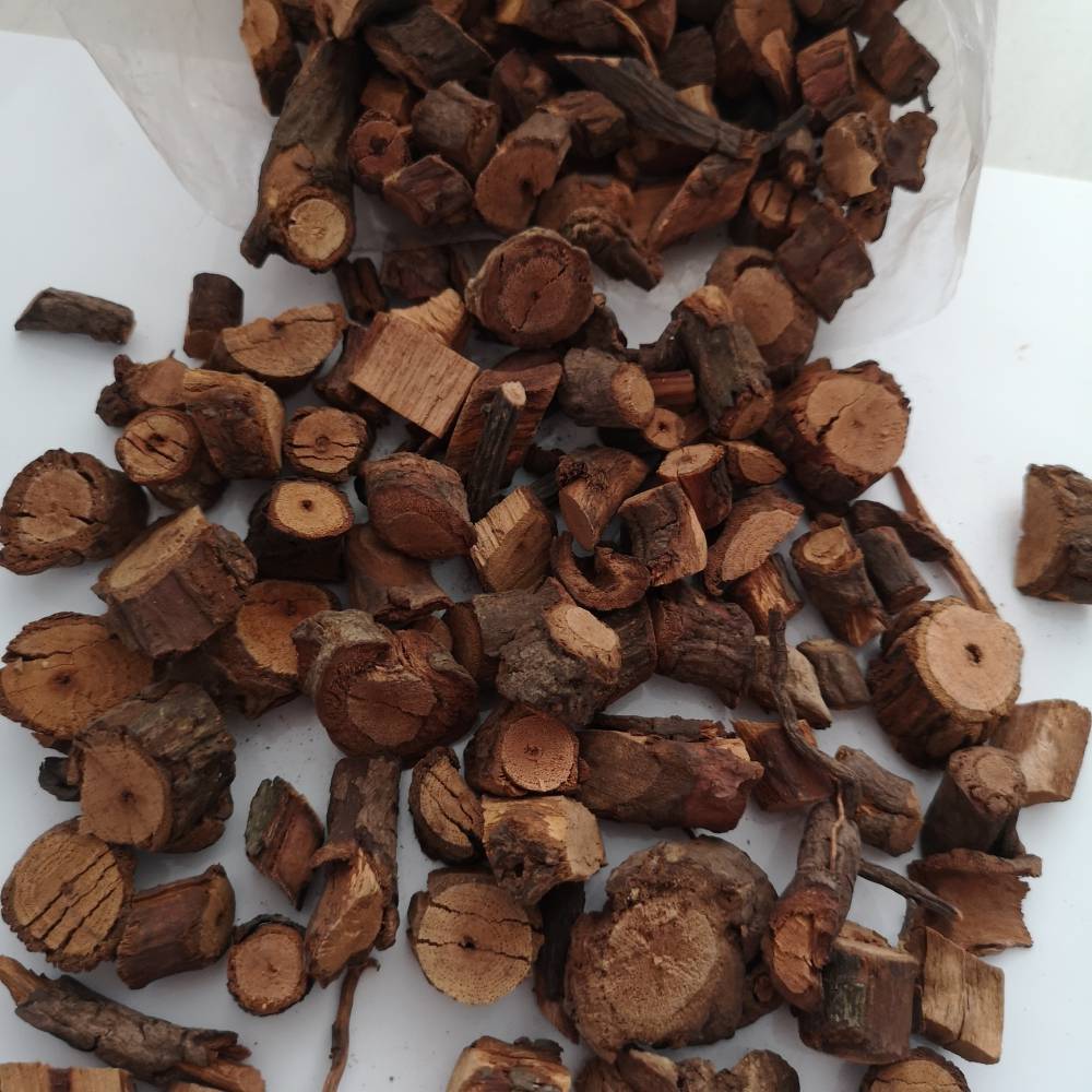 野生血满草的功效血满草批发价格