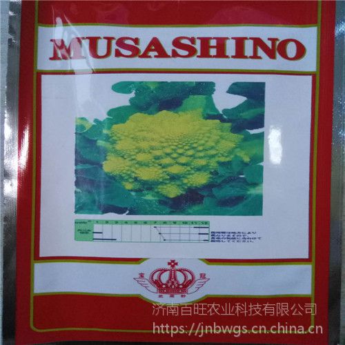 宝塔菜花种子宝塔菜种子宝塔花菜种子批发日本武藏野生产图片图片大全 中国供应商 宝塔菜花种子宝塔菜种子宝塔花菜种子批发日本武藏野生产图片图片大全 中国供应商