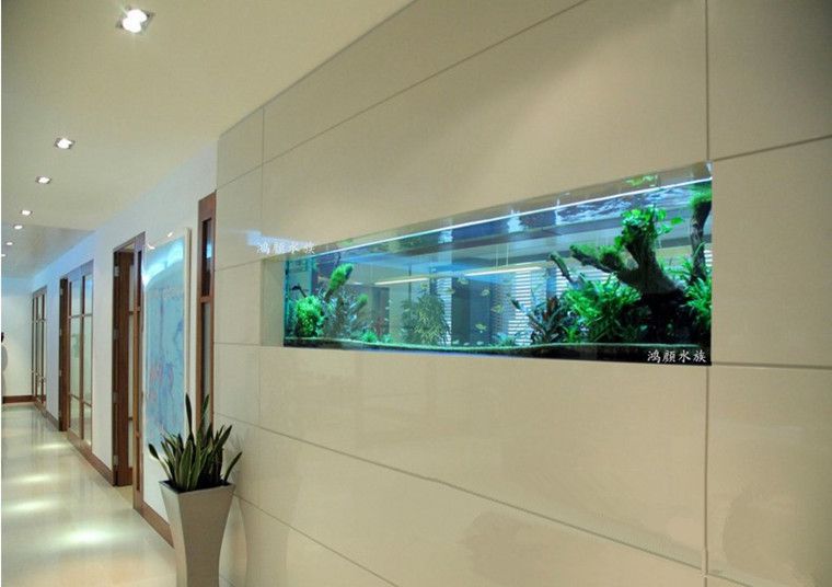 生态草缸定制生态玻璃鱼缸定做酒店淡水水族箱大型水族箱定做索浦