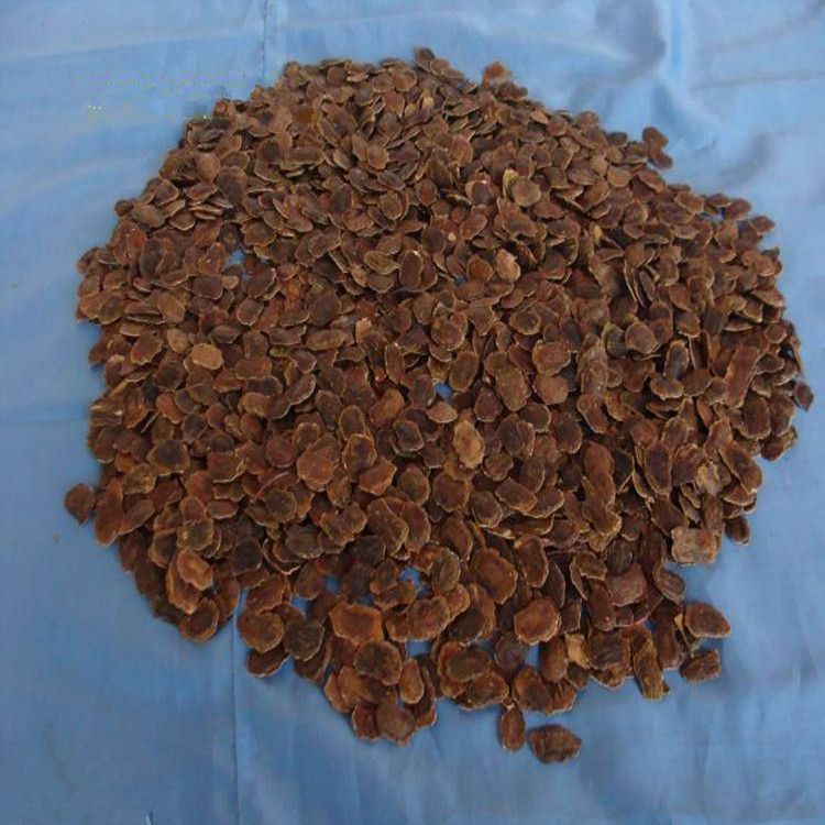 供应正宗黄花梨黄花梨种子海南黄花梨黄花梨价格