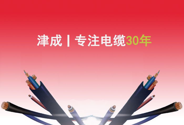 津成电线电缆超五类网线