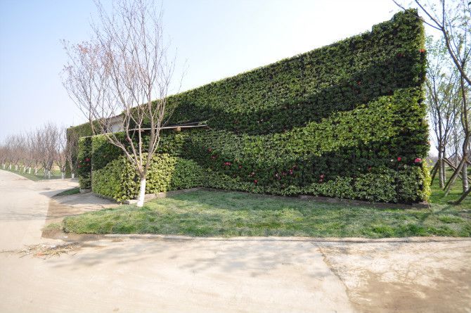 生态景观墙景观植物墙绿化墙屋顶绿化垂直绿化室内绿化