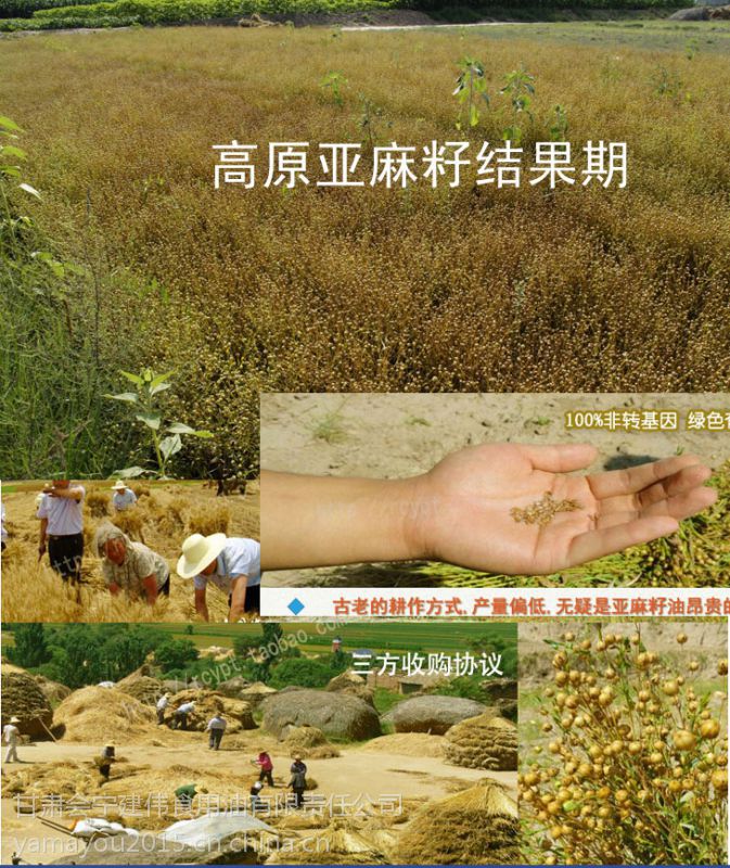 胡麻油***月子油500*2ml会宁特产展开净含量(规格)500ml特产是原产地