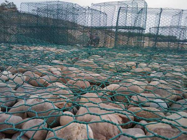 20160325112440-158953548