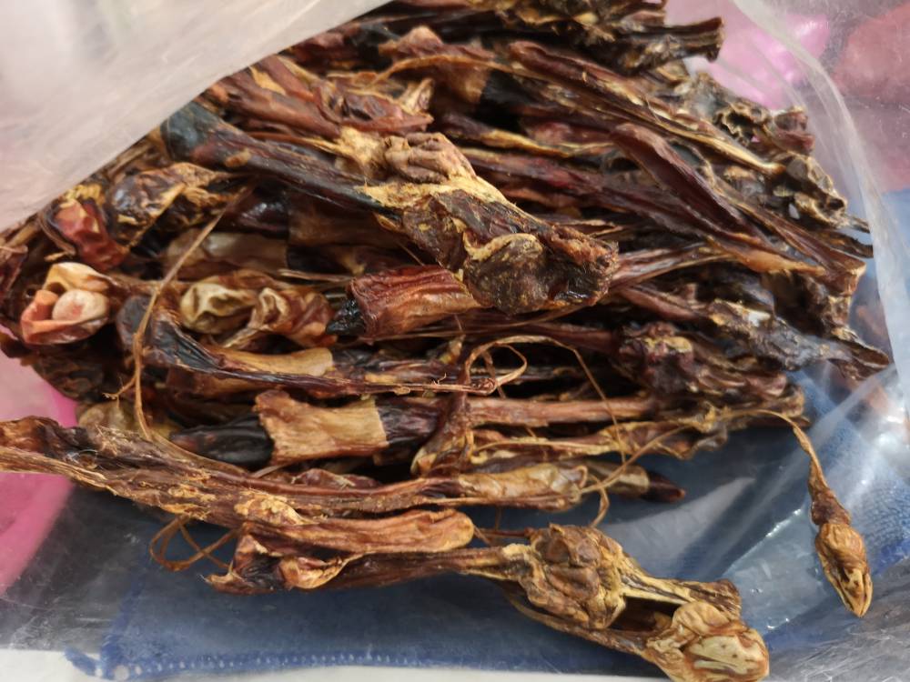 供应蛇胆寸白蛇胆竹节蛇胆白花蛇胆