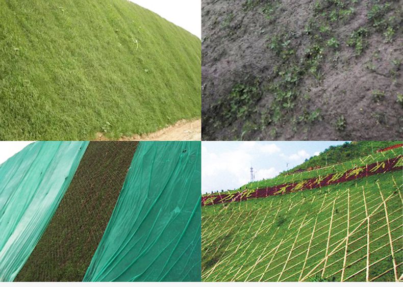 木质纤维厂家喷播坡边绿化木纤维厂家批发东南风