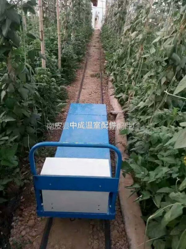 供应蔬菜大棚轨道车沧州大棚采摘运输车电动小火车