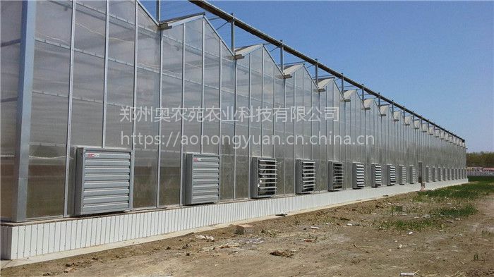 大棚遮阳网厂家直销批发