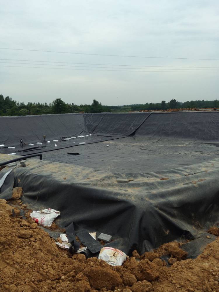 河南省养猪场沼液池污水池怎么防水堵漏hdpe黑膜沼气池设计制作厂家