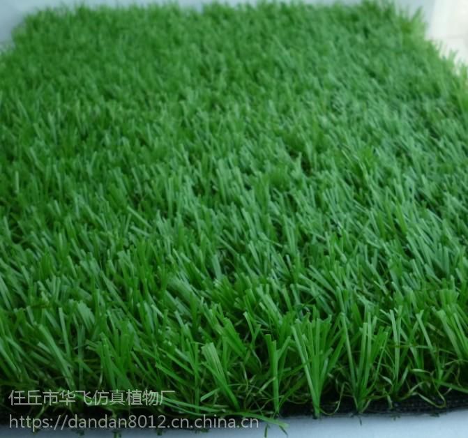 北京假草坪***格装饰假草坪批发厂家
