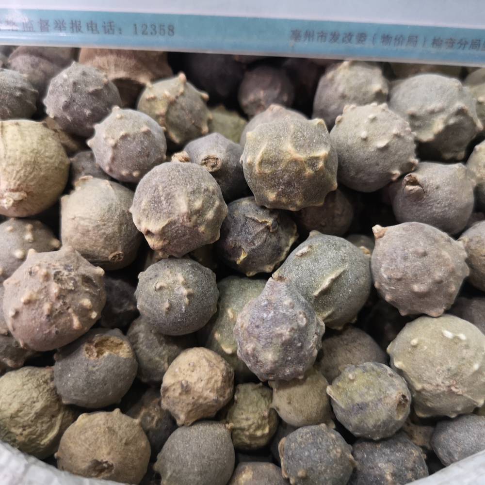 没食子中药没食子批发没食子多少钱一斤