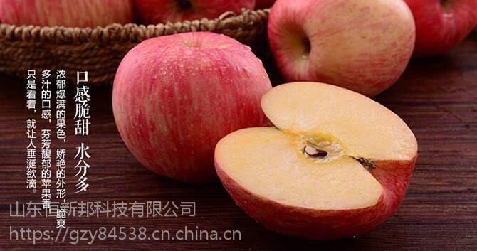 水果批发价格行情