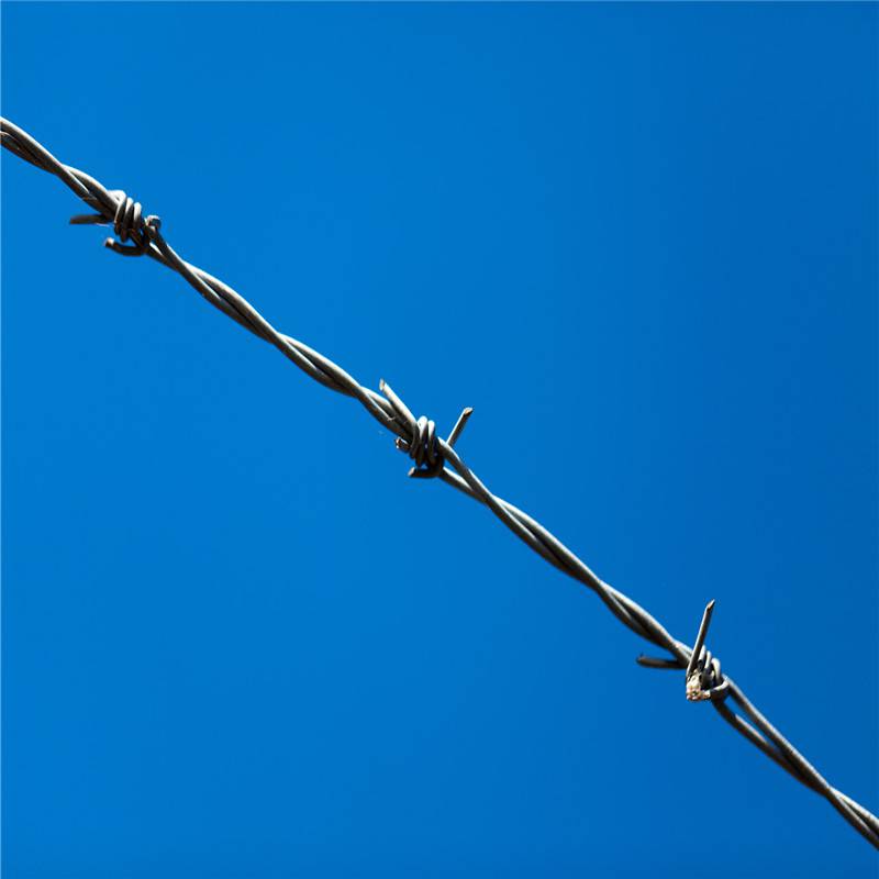 芒刺线价格安装刺线刺铁丝护栏网