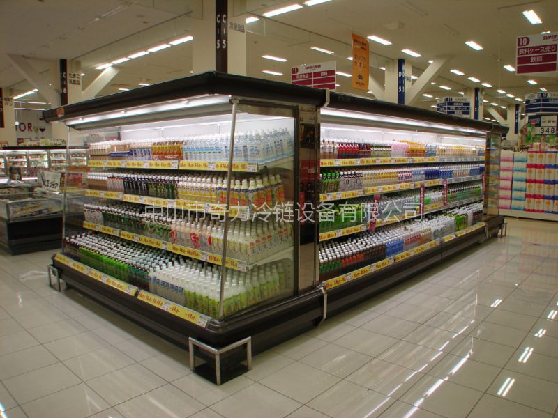 两门冷柜三门冰柜四门冻柜五门饮料柜价格奇力冷柜定做冷库价格多少
