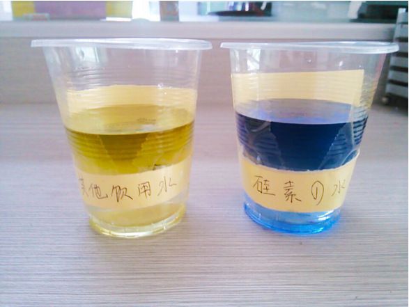 生命硅礦化杯水溶性硅元素水杯礦物質鹼性水杯硅素水能量杯