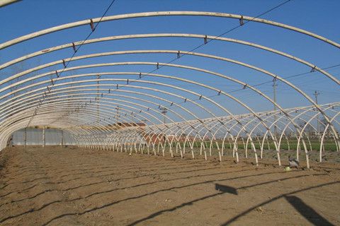 钢管镀塑蔬菜大棚建设材料的特点以及图片