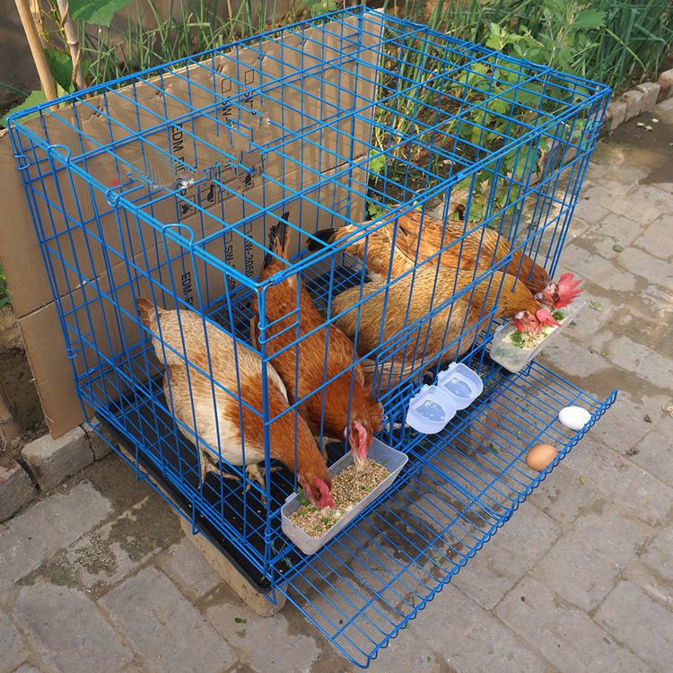 家用鸡笼养鸡笼子蛋鸡笼大号小号养殖家用母鸡笼子折叠鸡笼
