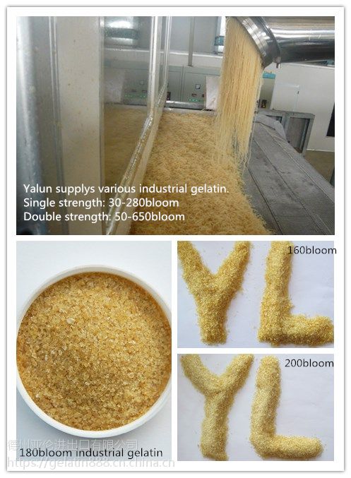 ******亚伦牌明胶 145冻力工业明胶（YL0121）粘度强稳定性强