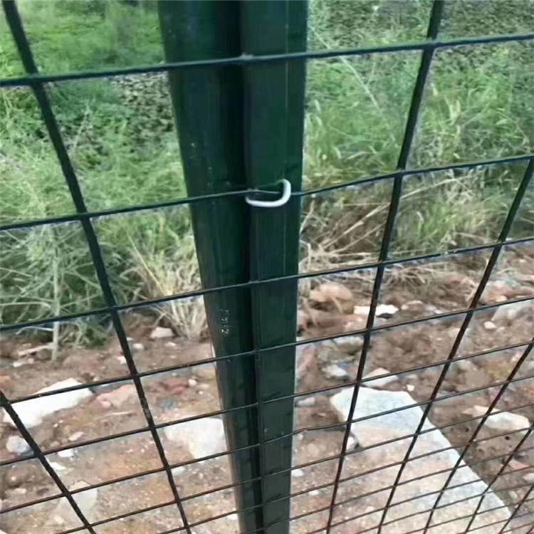 的圈地铁丝网农场圈山浸塑荷兰网果园围挡围栏网