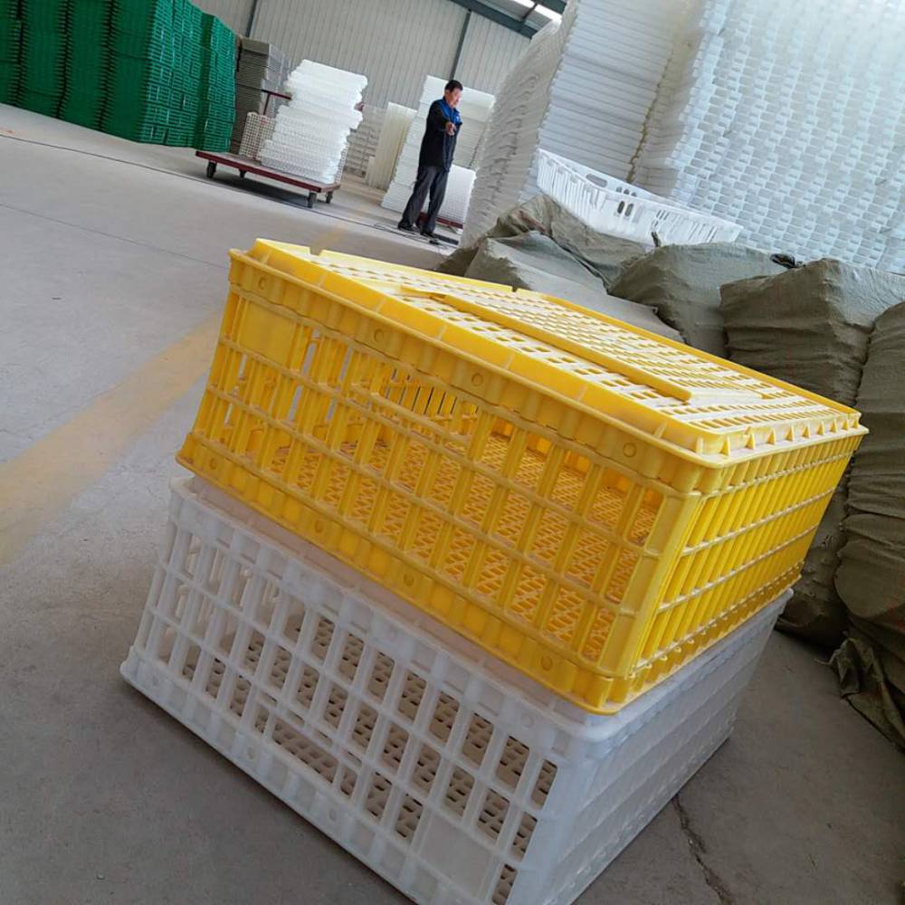 山东塑料鸭笼周转鸭筐装鸭笼子大号