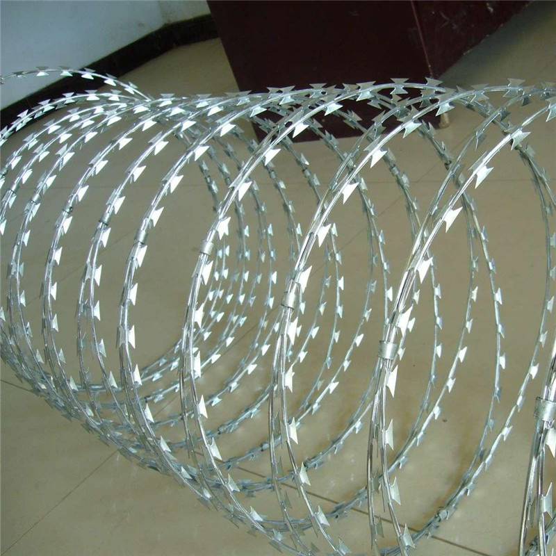 长江禁渔后有不法分子在上游跨界江段用新设备“夜捕”