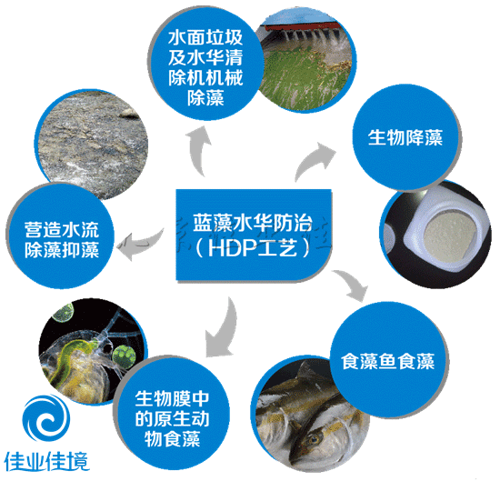 蓝藻治理水华治理蓝藻水华消减蓝藻控制技术水面细小垃圾治理