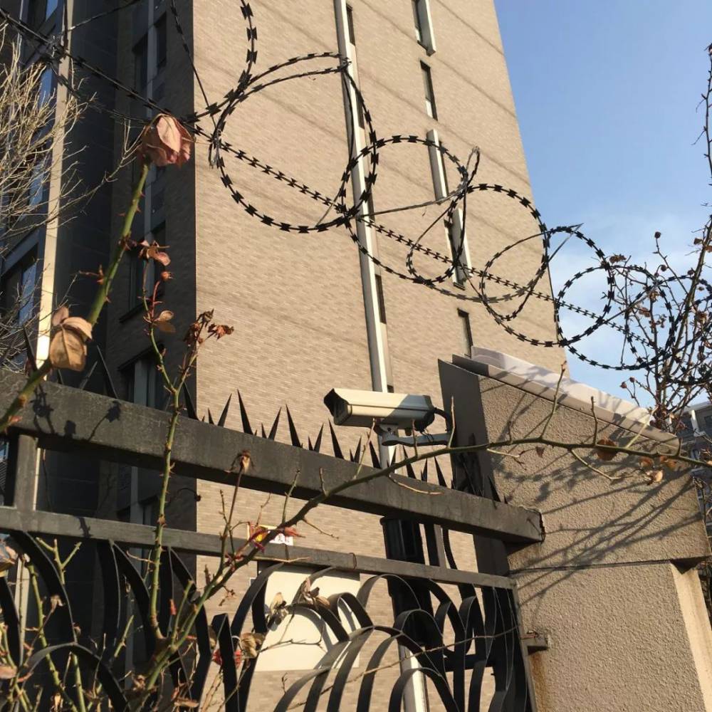 临沂刺绳刺绳围栏网铁丝网批发