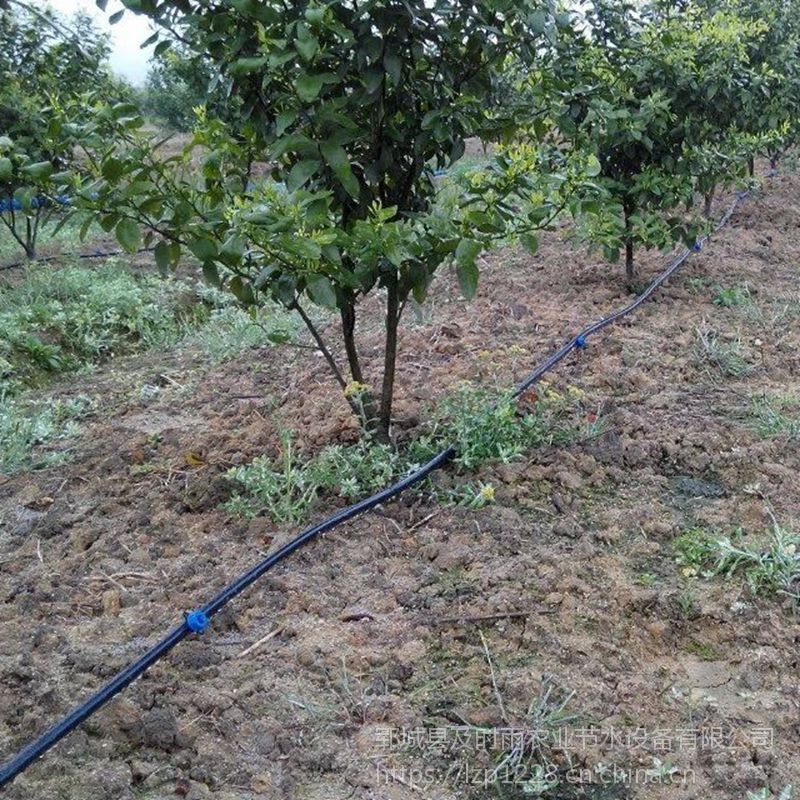 四川广元农业灌溉滴灌管水肥一体化设备装置果园滴灌系统
