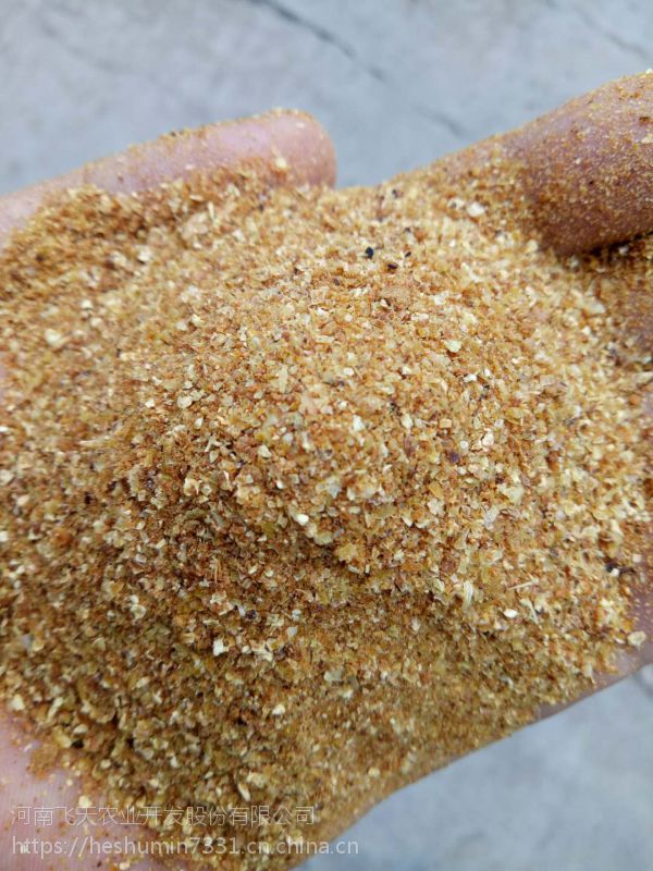 长期供应烘干酒糟白酒糟木薯酒糟天冠酒糟