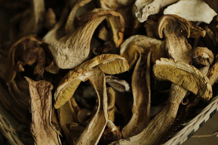 山饕情stqngj001青川野生牛肝菌干货黑荞巴