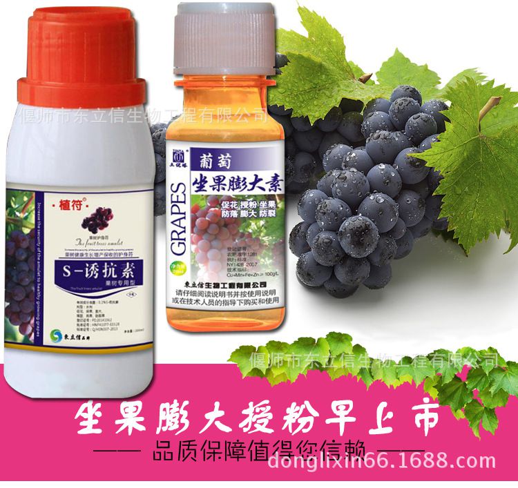 葡萄膨大剂夏黑红提坐果膨大素诱抗素巨峰增甜着色剂增红催熟