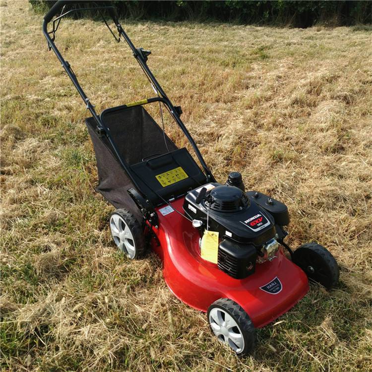 使用轻便草坪修剪机街边绿化带割草机