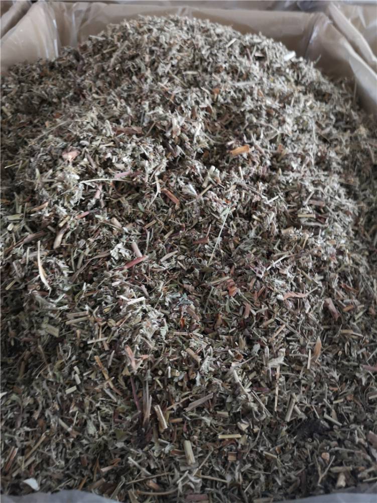 虎杖野生虎杖批发价格虎杖的功效