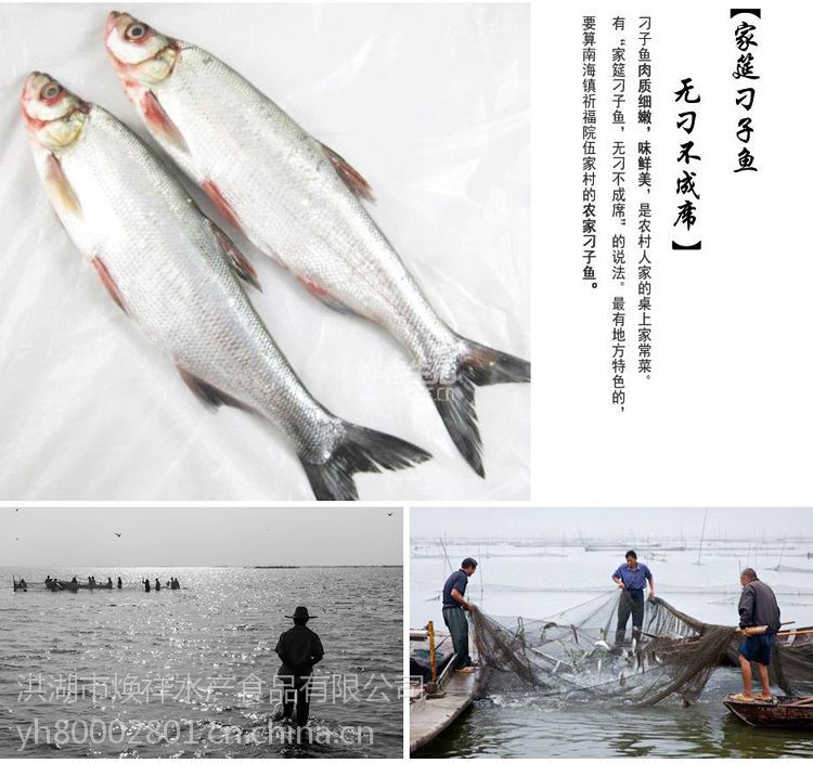 洪湖渔舟鲜冻小刁野生刁子鱼白刁鱼300g袋