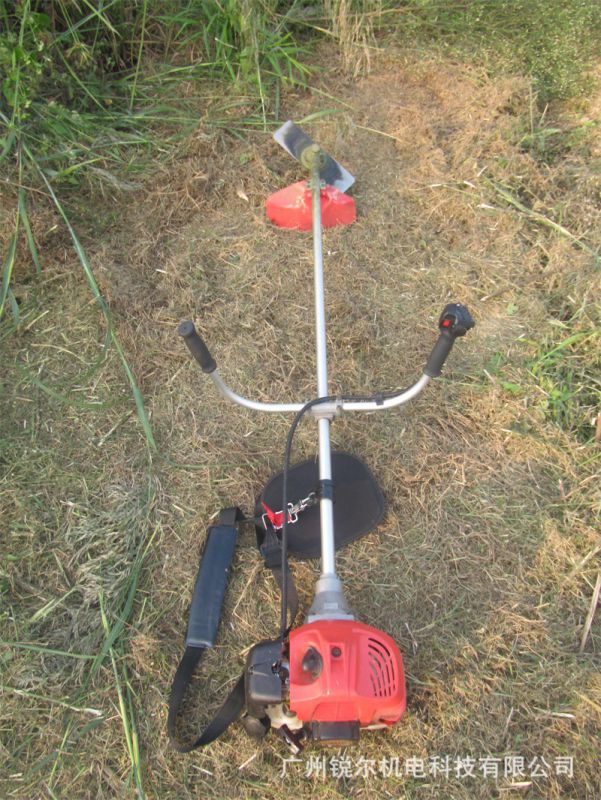 我国园林机械出口强增长势头延续 全球绿化+锂电智能+政策共驱行业长期增长