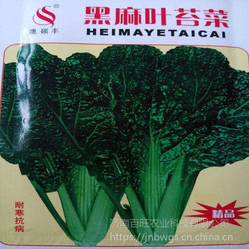 特色蔬菜黑麻葉苔菜種子初春食用的葉莖類四季播盆栽10克原裝圖片