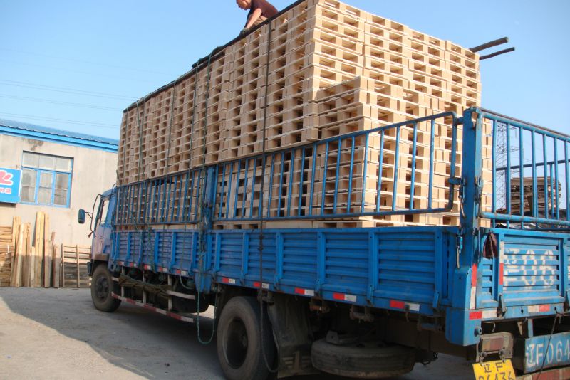 欧标托盘实木托盘冷库托盘松木杨木厂家