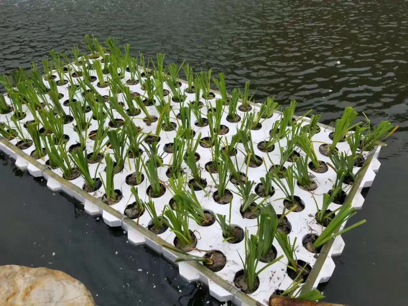 行业大咖云集上海共襄生物医药净化工程论坛与生物发酵展盛会