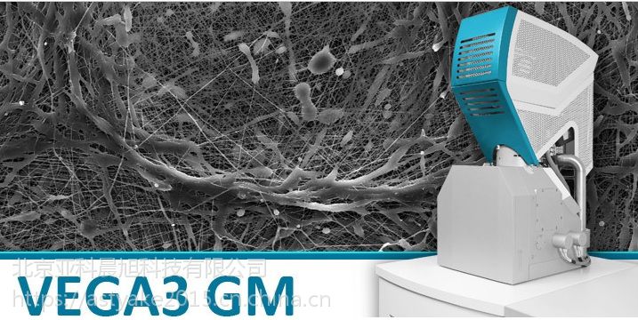 tescan钨灯丝扫描电镜