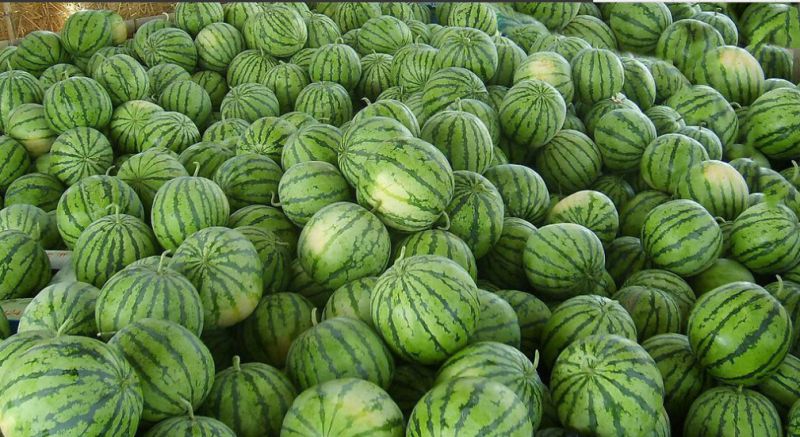 西瓜浓缩汁饮料厂用果汁西瓜汁