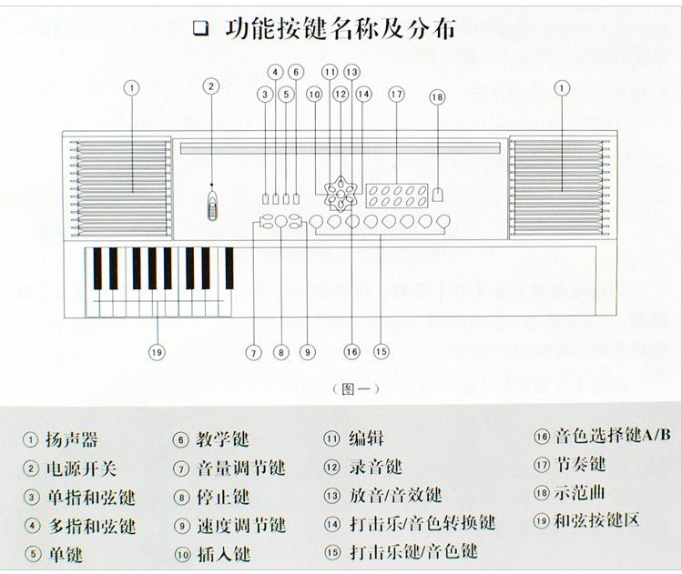 美科61键电子琴键位图图片