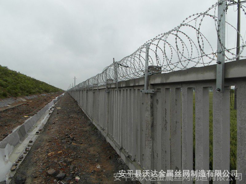 刺丝滚笼4