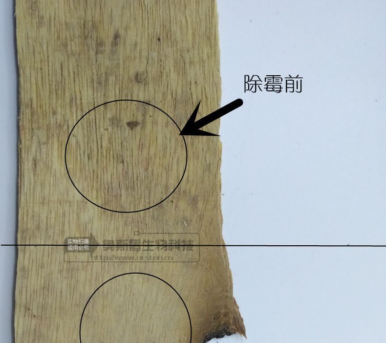 地毯发霉除霉剂有效清洁率高达995