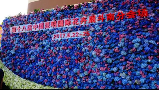 第十八届中国昆明国际花卉展今天开幕 斗南分会场活动精彩纷呈